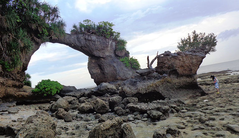 the-rock-bridge-neil-island-andaman-india the-rock-bridge-neil-island-andaman-india